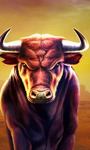 Black Bull