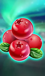 Winterberries