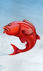 Ice Fishing